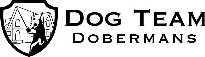 /static/media/site_logo.afadfb1b.PNG